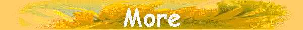 More